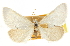  ( - CCDB-20812-D12)  @11 [ ] CreativeCommons - Attribution (2013) CBG Photography Group Centre for Biodiversity Genomics