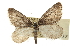  ( - CCDB-20813-A05)  @11 [ ] CreativeCommons - Attribution (2013) CBG Photography Group Centre for Biodiversity Genomics