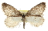 ( - CCDB-20813-A07)  @11 [ ] CreativeCommons - Attribution (2013) CBG Photography Group Centre for Biodiversity Genomics