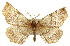  ( - CCDB-20813-B05)  @14 [ ] CreativeCommons - Attribution (2013) CBG Photography Group Centre for Biodiversity Genomics