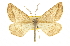  ( - CCDB-20813-G09)  @14 [ ] CreativeCommons - Attribution (2013) CBG Photography Group Centre for Biodiversity Genomics