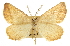  ( - CCDB-20813-G10)  @13 [ ] CreativeCommons - Attribution (2013) CBG Photography Group Centre for Biodiversity Genomics