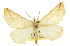  ( - CCDB-20813-G12)  @11 [ ] CreativeCommons - Attribution (2013) CBG Photography Group Centre for Biodiversity Genomics