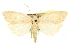  ( - CCDB-20814-B07)  @11 [ ] CreativeCommons - Attribution (2013) CBG Photography Group Centre for Biodiversity Genomics