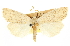  ( - CCDB-20814-B09)  @11 [ ] CreativeCommons - Attribution (2013) CBG Photography Group Centre for Biodiversity Genomics