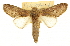  ( - CCDB-20814-G07)  @11 [ ] CreativeCommons - Attribution (2013) CBG Photography Group Centre for Biodiversity Genomics