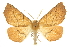  ( - CCDB-20815-B10)  @14 [ ] CreativeCommons - Attribution (2013) CBG Photography Group Centre for Biodiversity Genomics