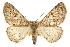  ( - CCDB-20815-C07)  @14 [ ] CreativeCommons - Attribution (2013) CBG Photography Group Centre for Biodiversity Genomics
