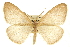  ( - CCDB-20815-E12)  @13 [ ] CreativeCommons - Attribution (2013) CBG Photography Group Centre for Biodiversity Genomics