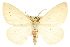  (Cingilia - CCDB-20815-G01)  @15 [ ] CreativeCommons - Attribution (2013) CBG Photography Group Centre for Biodiversity Genomics
