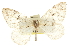  ( - CCDB-20815-G04)  @14 [ ] CreativeCommons - Attribution (2013) CBG Photography Group Centre for Biodiversity Genomics