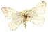  ( - CCDB-20815-G05)  @14 [ ] CreativeCommons - Attribution (2013) CBG Photography Group Centre for Biodiversity Genomics