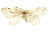  ( - CCDB-20815-G06)  @13 [ ] CreativeCommons - Attribution (2013) CBG Photography Group Centre for Biodiversity Genomics