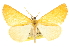 ( - CCDB-20815-H10)  @14 [ ] CreativeCommons - Attribution (2013) CBG Photography Group Centre for Biodiversity Genomics