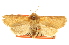  ( - CCDB-20816-B08)  @11 [ ] CreativeCommons - Attribution (2013) CBG Photography Group Centre for Biodiversity Genomics