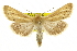  ( - CCDB-20817-E01)  @15 [ ] CreativeCommons - Attribution (2013) CBG Photography Group Centre for Biodiversity Genomics