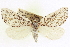 ( - CCDB-20818-B05)  @11 [ ] CreativeCommons - Attribution (2013) CBG Photography Group Centre for Biodiversity Genomics