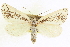 ( - CCDB-20818-B06)  @11 [ ] CreativeCommons - Attribution (2013) CBG Photography Group Centre for Biodiversity Genomics