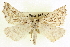  ( - CCDB-20818-C01)  @11 [ ] CreativeCommons - Attribution (2013) CBG Photography Group Centre for Biodiversity Genomics