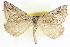  ( - CCDB-20818-C03)  @14 [ ] CreativeCommons - Attribution (2013) CBG Photography Group Centre for Biodiversity Genomics