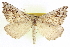  ( - CCDB-20818-C05)  @15 [ ] CreativeCommons - Attribution (2013) CBG Photography Group Centre for Biodiversity Genomics