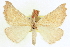  ( - CCDB-20818-C06)  @11 [ ] CreativeCommons - Attribution (2013) CBG Photography Group Centre for Biodiversity Genomics