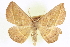  ( - CCDB-20818-D05)  @11 [ ] CreativeCommons - Attribution (2013) CBG Photography Group Centre for Biodiversity Genomics