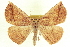  ( - CCDB-20818-D06)  @15 [ ] CreativeCommons - Attribution (2013) CBG Photography Group Centre for Biodiversity Genomics