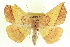  ( - CCDB-20818-E09)  @14 [ ] CreativeCommons - Attribution (2013) CBG Photography Group Centre for Biodiversity Genomics