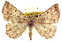  ( - CCDB-20818-G04)  @15 [ ] CreativeCommons - Attribution (2013) CBG Photography Group Centre for Biodiversity Genomics