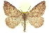  ( - CCDB-20818-G05)  @15 [ ] CreativeCommons - Attribution (2013) CBG Photography Group Centre for Biodiversity Genomics