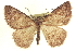  ( - CCDB-20818-G07)  @14 [ ] CreativeCommons - Attribution (2013) CBG Photography Group Centre for Biodiversity Genomics