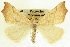  ( - CCDB-20818-H10)  @13 [ ] CreativeCommons - Attribution (2013) CBG Photography Group Centre for Biodiversity Genomics