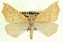  ( - CCDB-20818-H11)  @14 [ ] CreativeCommons - Attribution (2013) CBG Photography Group Centre for Biodiversity Genomics