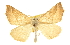  ( - CCDB-20819-A07)  @14 [ ] CreativeCommons - Attribution (2013) CBG Photography Group Centre for Biodiversity Genomics