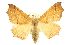  ( - CCDB-20819-A12)  @14 [ ] CreativeCommons - Attribution (2013) CBG Photography Group Centre for Biodiversity Genomics