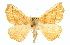  ( - CCDB-20819-B03)  @11 [ ] CreativeCommons - Attribution (2013) CBG Photography Group Centre for Biodiversity Genomics