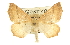  ( - CCDB-20819-B04)  @11 [ ] CreativeCommons - Attribution (2013) CBG Photography Group Centre for Biodiversity Genomics