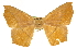  ( - CCDB-20819-B09)  @11 [ ] CreativeCommons - Attribution (2013) CBG Photography Group Centre for Biodiversity Genomics