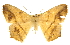  ( - CCDB-20819-B10)  @11 [ ] CreativeCommons - Attribution (2013) CBG Photography Group Centre for Biodiversity Genomics