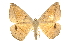  ( - CCDB-20819-C09)  @11 [ ] CreativeCommons - Attribution (2013) CBG Photography Group Centre for Biodiversity Genomics