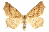  ( - CCDB-20819-D10)  @15 [ ] CreativeCommons - Attribution (2013) CBG Photography Group Centre for Biodiversity Genomics