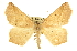  ( - CCDB-20819-E12)  @15 [ ] CreativeCommons - Attribution (2013) CBG Photography Group Centre for Biodiversity Genomics