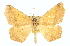  ( - CCDB-20819-F04)  @14 [ ] CreativeCommons - Attribution (2013) CBG Photography Group Centre for Biodiversity Genomics