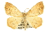  ( - CCDB-20819-F10)  @13 [ ] CreativeCommons - Attribution (2013) CBG Photography Group Centre for Biodiversity Genomics