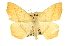  ( - CCDB-20819-F11)  @12 [ ] CreativeCommons - Attribution (2013) CBG Photography Group Centre for Biodiversity Genomics