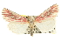  ( - CCDB-20820-D02)  @13 [ ] CreativeCommons - Attribution (2013) CBG Photography Group Centre for Biodiversity Genomics