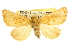  ( - CCDB-20820-D12)  @14 [ ] CreativeCommons - Attribution (2013) CBG Photography Group Centre for Biodiversity Genomics