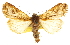  ( - CCDB-20823-A02)  @11 [ ] CreativeCommons - Attribution (2013) CBG Photography Group Centre for Biodiversity Genomics