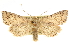  ( - CCDB-20823-B04)  @14 [ ] CreativeCommons - Attribution (2013) CBG Photography Group Centre for Biodiversity Genomics